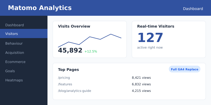 Matomo Analytics comprehensive dashboard with detailed visitor data