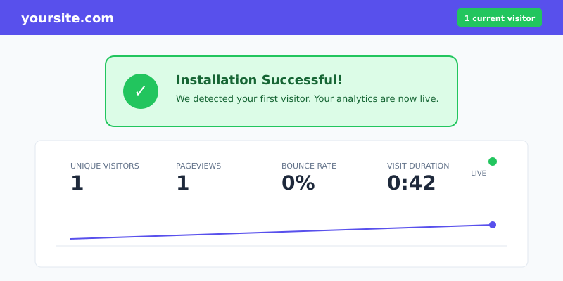 Plausible dashboard showing first visitor detected successfully